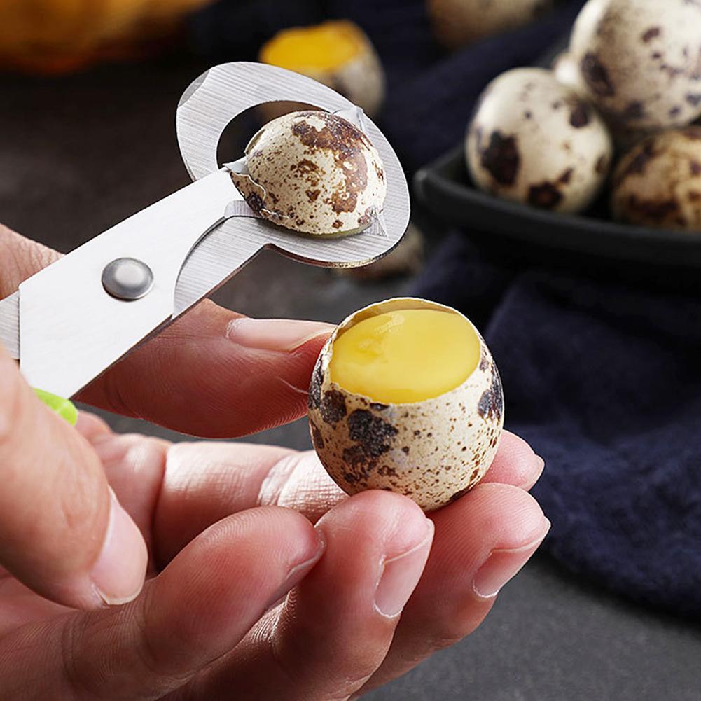 Duif Kwartel Open Crack Kleine - Egg Separator Tool recensie en prijs