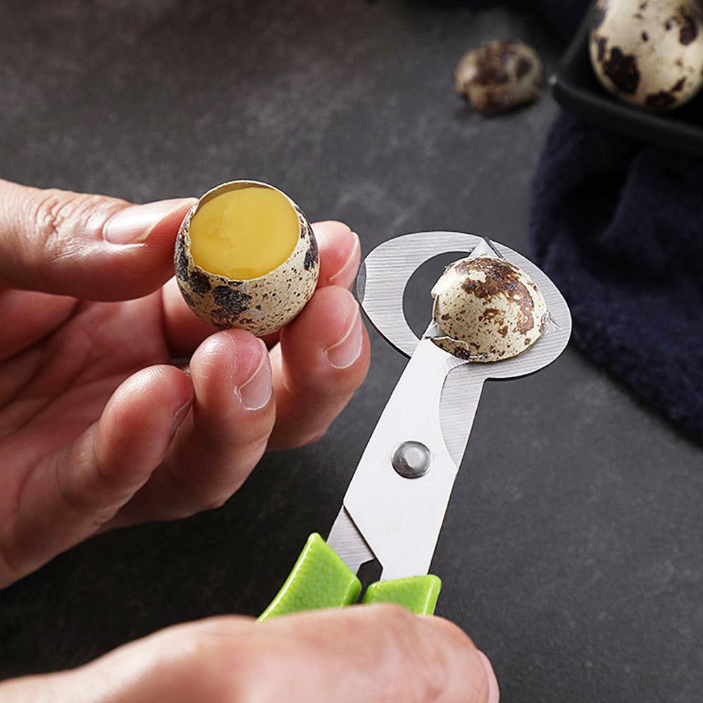 Duif Kwartel Open Crack Kleine - Egg Separator Tool recensie en prijs